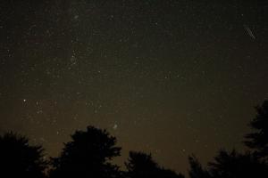 IMG_2452.jpg