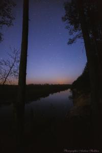 IMG_3398-3_40%.jpg