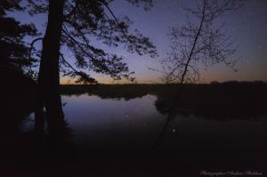 IMG_3404-6_40%.jpg