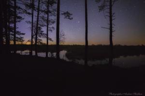 IMG_3407-7_40%.jpg