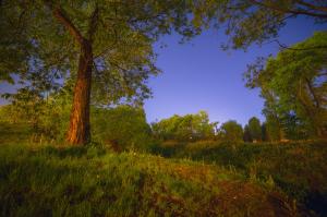 IMG_3724-11_40%.jpg