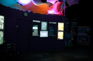 IMG_3986.JPG