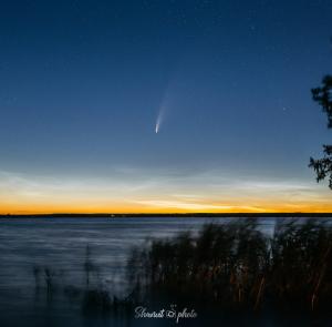 IMG_4430-Pano_1q_50%.jpg