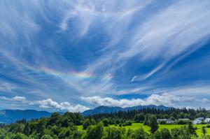 IMG_4992 30per.jpg