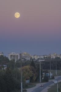 IMG_5047.jpg