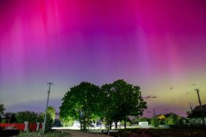 IMG_5420-Enhanced-NR-2_50%.jpg