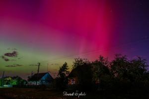 IMG_5674-Enhanced-NR-6_50%.jpg