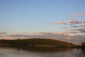 IMG_5984.JPG