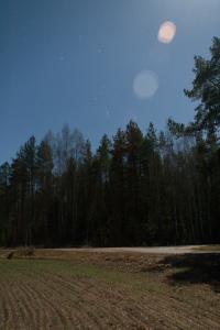 IMG_6315.jpg