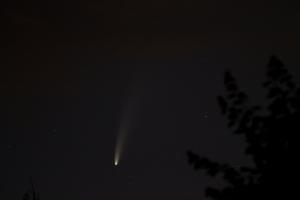 IMG_6381__s.jpg