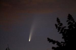 IMG_6381_s.jpg