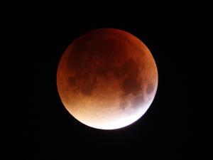 IMG_6623.jpg