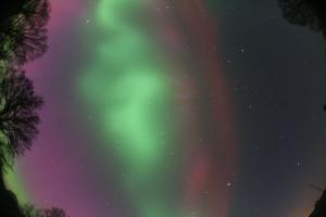 IMG_7410.JPG
