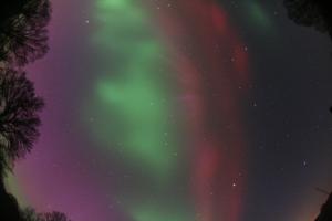 IMG_7420.JPG