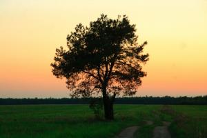 IMG_8024.jpg