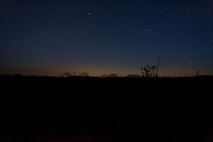 IMG_8042.jpg