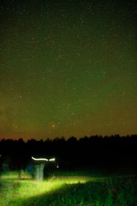 IMG_8085.jpg