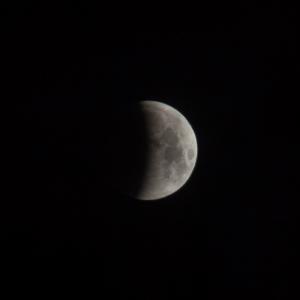 IMG_8140-5.jpg