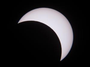 IMG_8261.JPG