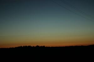 IMG_9529.jpg