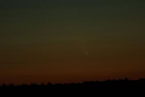 IMG_9552.jpg