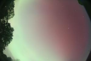 IMG_9620_2101UT_100524_Polyani.JPG