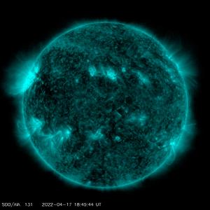 latest_1024_0131.jpg