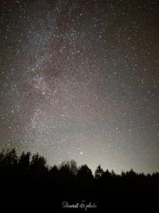 Lights_0001_20201121_000332_1_50%.jpg