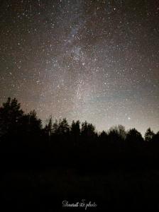 Lights_0001_20201121_000500_2_50%.jpg