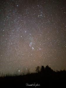Lights_0001_20201121_001647_5_50%.jpg