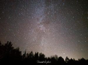 Lights_0001_20201121_002041_6_50%.jpg
