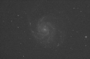 M101-001-Gg40_2.jpg