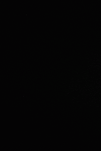M20200610_013834_BYDERAZHNOE_30.gif