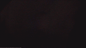 M20231221_051408_BYKryzhovka_40.gif