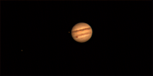 M29-2311_000000.png