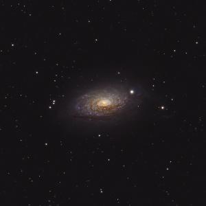 M63-100-1.jpg