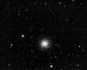 m 13 grew.jpg