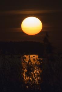 mercury sunset 100%.jpg