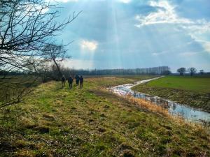 met_31.03.2019_yuv.jpg