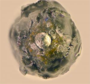 Micrometeorite_BY_PS_Reg_1000pix.jpg