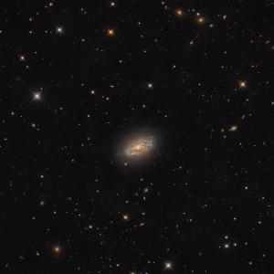 NGC4414-ioda-50%.jpg