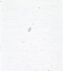 ngc4618.jpg