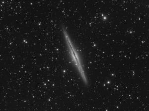 NGC891-001L-17_x53dd.jpg