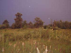 P6110032f.jpg