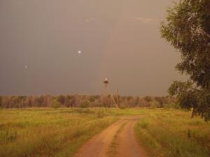 P6110035f.jpg