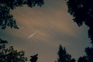 perseid_831.jpg