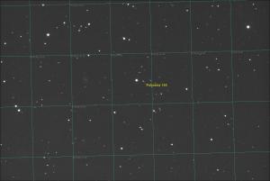 Polyxena 240916 75x8s350g.jpg