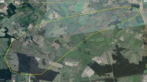 pruzanad181d184-nqav9.jpg