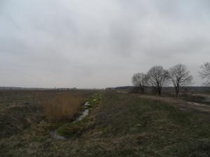 SAM_0649.JPG