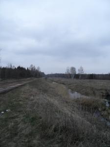 SAM_0652.jpg